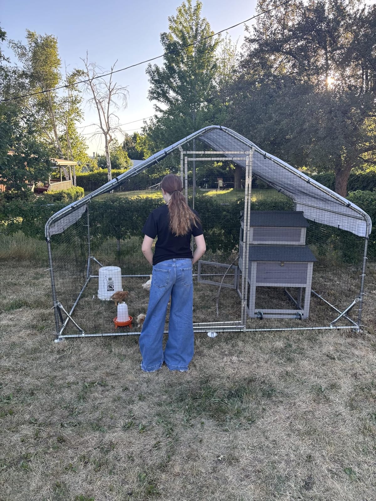 Walk in Chicken Coop with Run, Large Metal Poultry Cage for Backyard customer photo 1