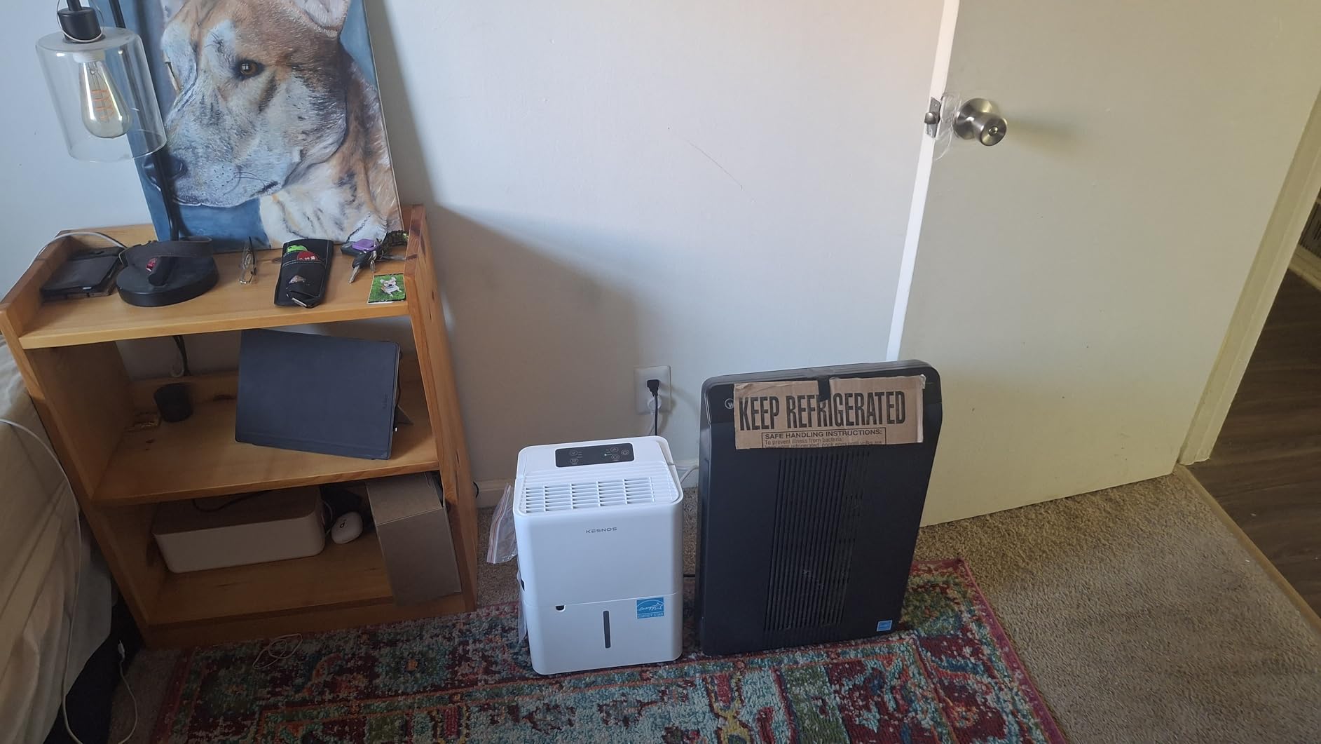 Kesnos 150 Pint Dehumidifier for Basement with Drain Hose, 7,500 Sq. Ft. customer photo 2