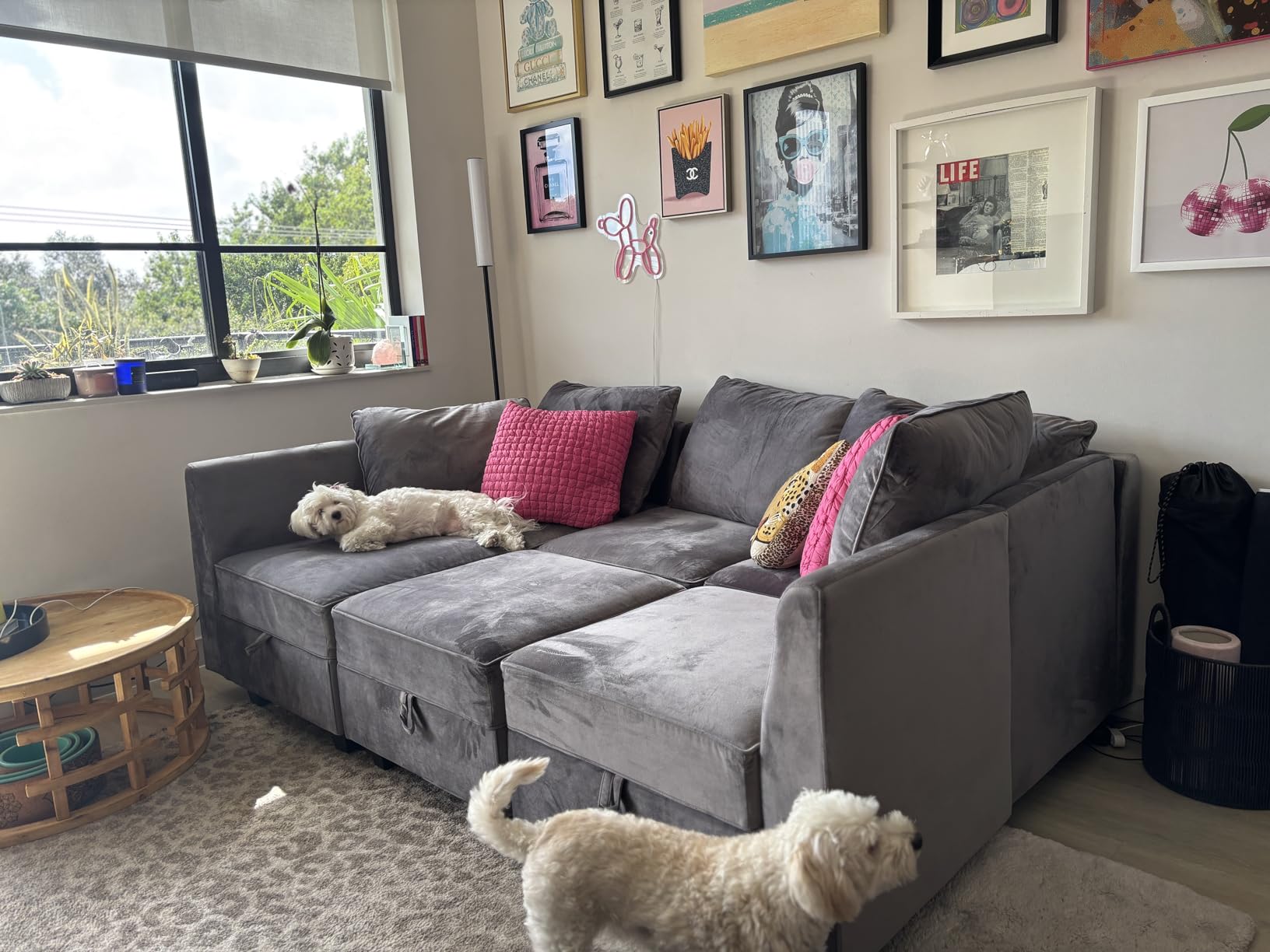 HONBAY Modular Sectional Couch L Shaped Sofa with Storage,Black customer photo 1