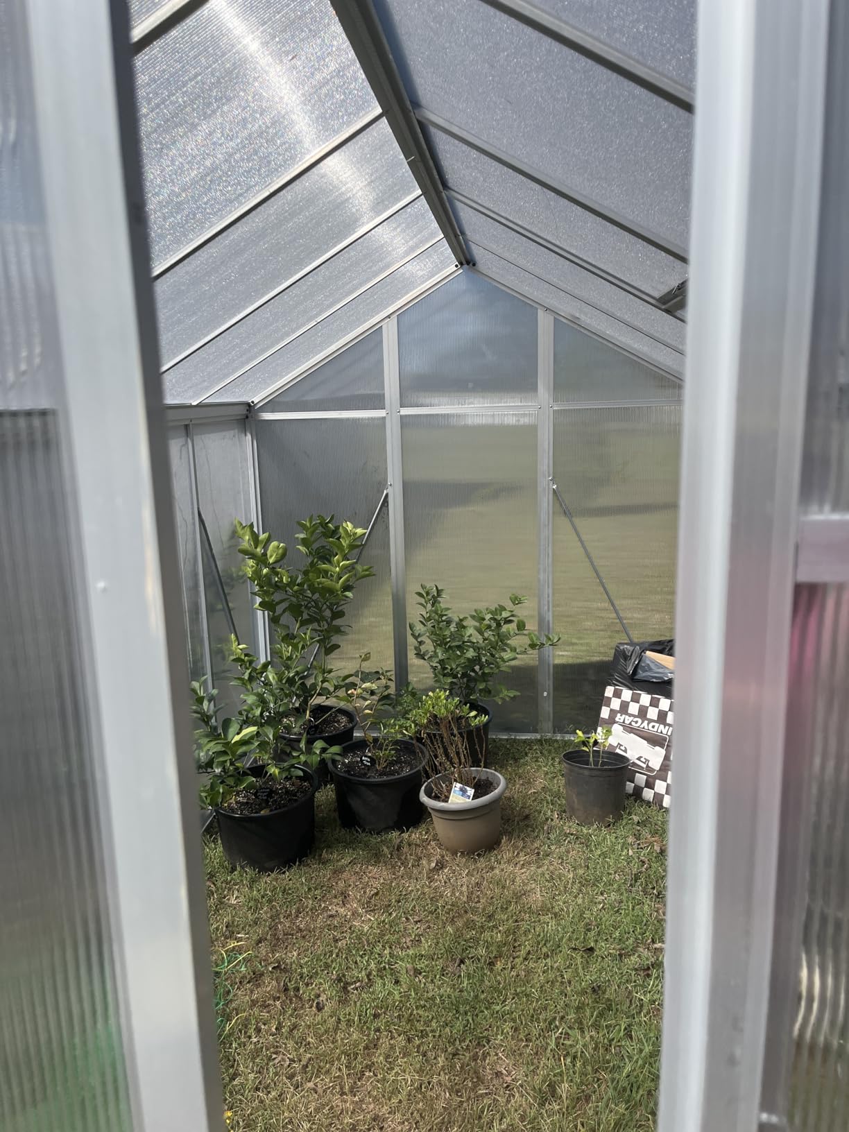 Garvee 6x10 FT Greenhouse - Large Aluminum Greenhouses for Outdoors customer photo 2