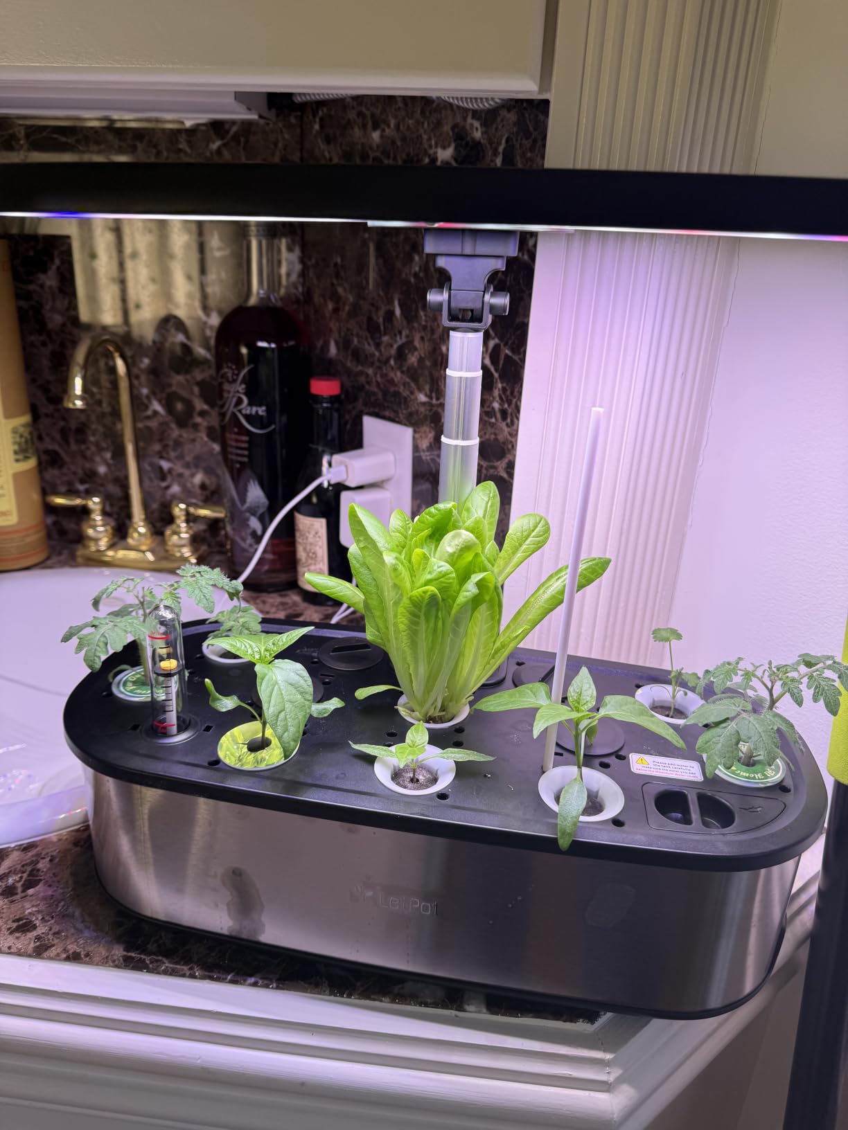 LETPOT LPH-Max 21-Pod Hydroponic Growing System Kits, Smart Indoor Garden with APP & WiFi Control, Auto Watering & Nutrient Supply, 36W Full Spectrum LED Grow Light, 7.5L Tank, Up to 30