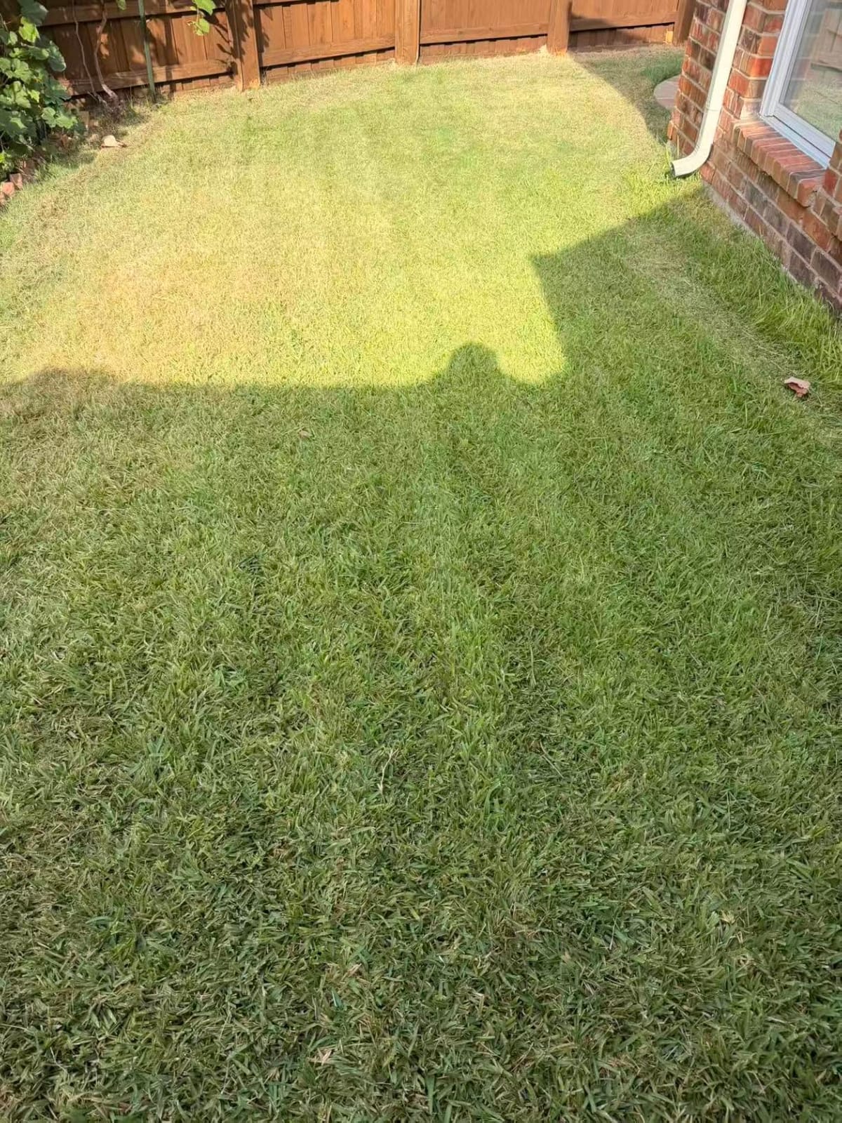 (Evolved) DREAME A3 AWD 2000 LiDAR Robot Lawn Mower, 45-Min Fast Charge customer photo 1