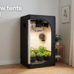 best grow tents for small spaces