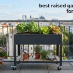 best raised garden beds for balconies