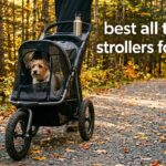 best all terrain strollers for dogs