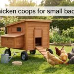 best chicken coops for small backyards