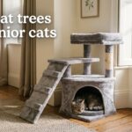 best cat trees for senior cats