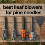 best leaf blowers for pine needles