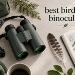 best birding binoculars