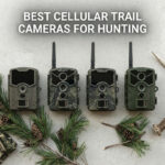 best cellular trail cameras for hunting