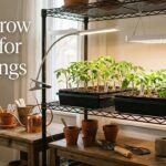 best grow lights for seedlings