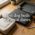 best dog beds for great danes