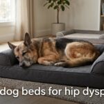best dog beds for hip dysplasia