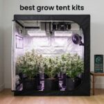 best grow tent kits