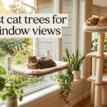 best cat trees for window views