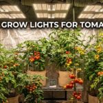 best grow lights for tomatoes