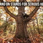 best hang on stands for serious hunters