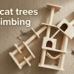 best cat trees for climbing