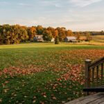 best leaf blowers for acreage