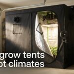 best grow tents for hot climates