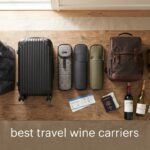 best travel wine carriers