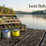 best fishing line for bass