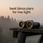 best binoculars for low light