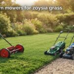 best lawn mowers for zoysia grass