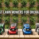 best lawn mowers for orchards