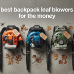 best backpack leaf blowers for the money