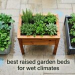 best raised garden beds for wet climates