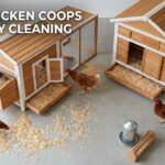 best chicken coops for easy cleaning