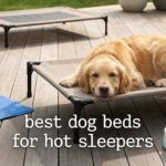 best dog beds for hot sleepers
