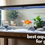 best aquariums for goldfish