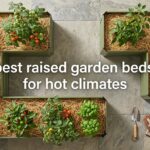 best raised garden beds for hot climates