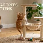 best cat trees for kittens