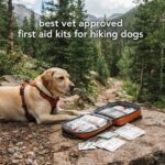 best vet approved first aid kits for hiking dogs