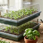 best greenhouses for seed starting