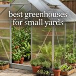 best greenhouses for small yards