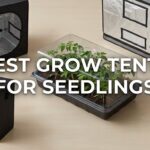 best grow tents for seedlings
