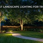 best landscape lighting for trees