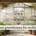 best greenhouses for orchids