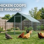 best chicken coops for free ranging
