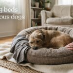 best dog beds for anxious dogs