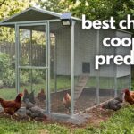 best chicken coops for predators
