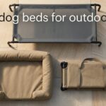 best dog beds for outdoor use
