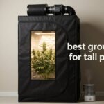 best grow tents for tall plants