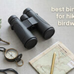 best binoculars for hiking and birdwatching
