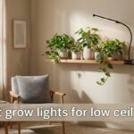 best grow lights for low ceilings