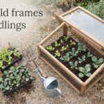 best cold frames for seedlings